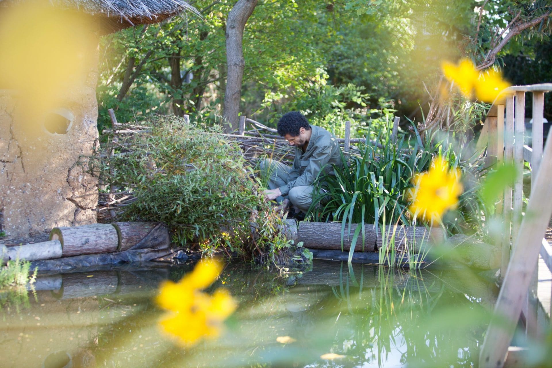 Sydenham Garden groups and Equity, Diversity and Inclusion (EDI)